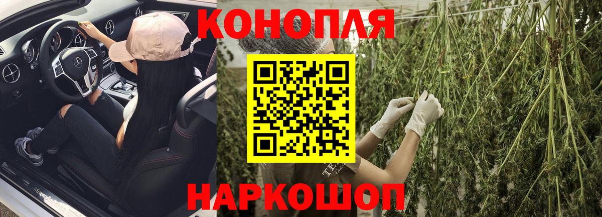 МАРИХУАНА сатива  Шишки марихуана индика  Изобильный  Бошки Шишки конопля  Бошки марихуана план  Вход с VPN 
